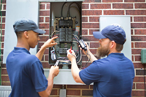 Best Electrical Panel Upgrades  in Hutchison, VA